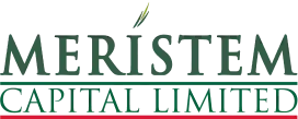 Meristem Capital Limited logo